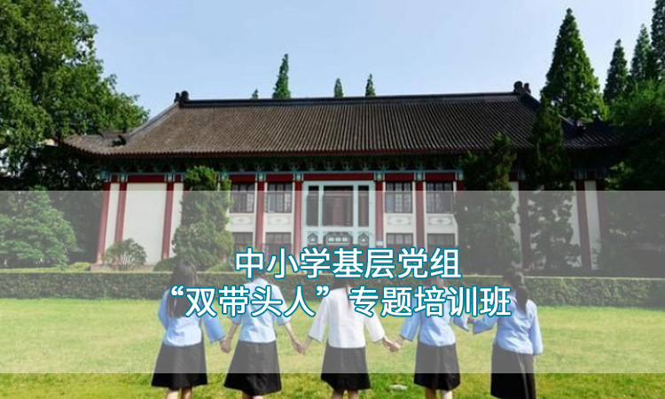 南京师范大学—中小学基层党组织“双带头人”专题培训班